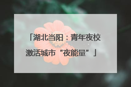 湖北当阳：青年夜校激活城市“夜能量”