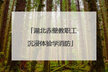 湖北赤壁教职工沉浸体验学消防