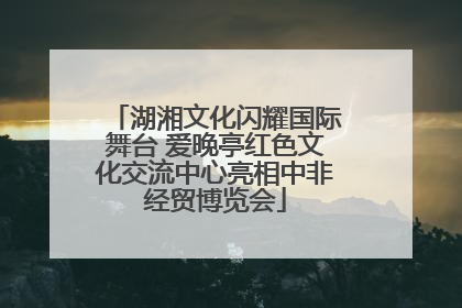 湖湘文化闪耀国际舞台 爱晚亭红色文化交流中心亮相中非经贸博览会