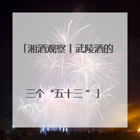 湘酒观察丨武陵酒的三个“五十三 ”
