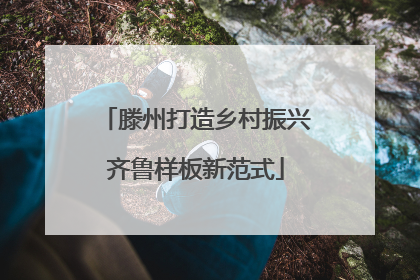 滕州打造乡村振兴齐鲁样板新范式