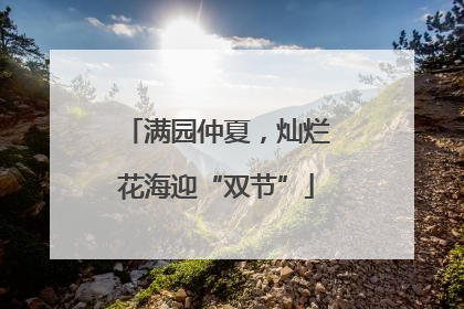 满园仲夏，灿烂花海迎“双节”