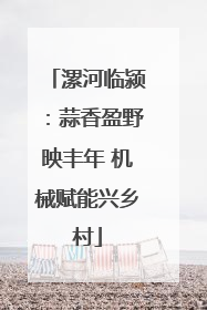 漯河临颍：蒜香盈野映丰年 机械赋能兴乡村