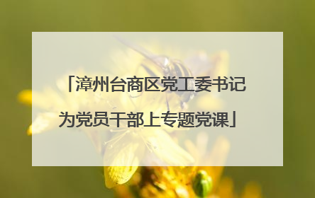 漳州台商区党工委书记为党员干部上专题党课