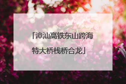 漳汕高铁东山跨海特大桥栈桥合龙