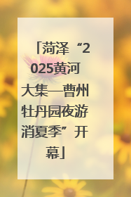 菏泽“2025黄河大集—曹州牡丹园夜游消夏季”开幕