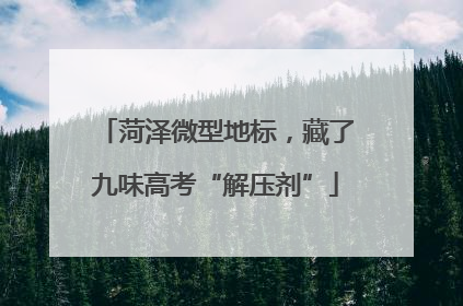 菏泽微型地标，藏了九味高考“解压剂”