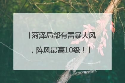 菏泽局部有雷暴大风，阵风最高10级！