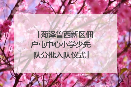 菏泽鲁西新区佃户屯中心小学少先队分批入队仪式