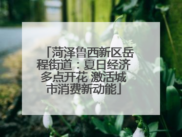 菏泽鲁西新区岳程街道：夏日经济多点开花 激活城市消费新动能