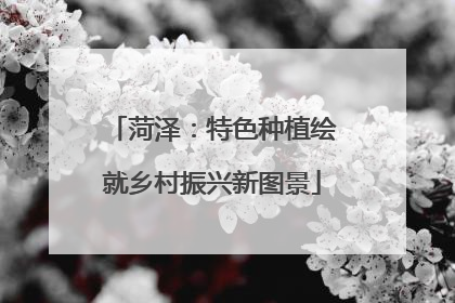 菏泽：特色种植绘就乡村振兴新图景