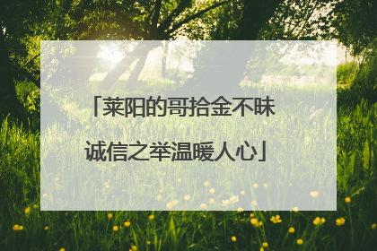 莱阳的哥拾金不昧 诚信之举温暖人心