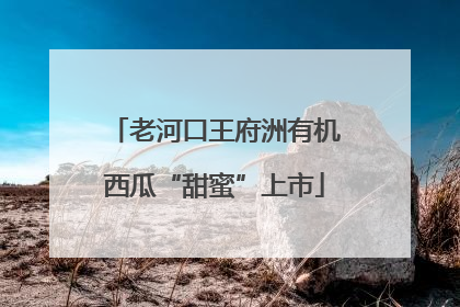 老河口王府洲有机西瓜“甜蜜”上市