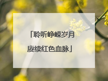 聆听峥嵘岁月 赓续红色血脉