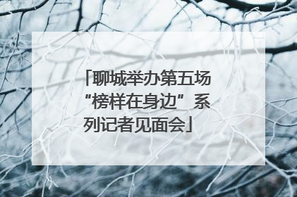 聊城举办第五场“榜样在身边”系列记者见面会