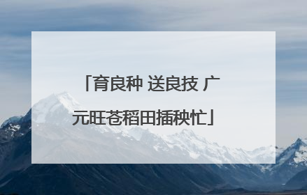 育良种 送良技 广元旺苍稻田插秧忙