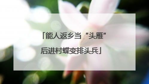 能人返乡当“头雁” 后进村蝶变排头兵