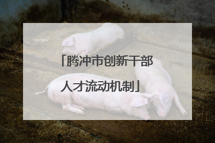 腾冲市创新干部人才流动机制
