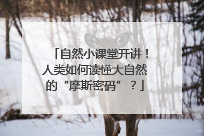 自然小课堂开讲！人类如何读懂大自然的“摩斯密码”？