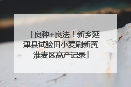 良种+良法！新乡延津县试验田小麦刷新黄淮麦区高产记录