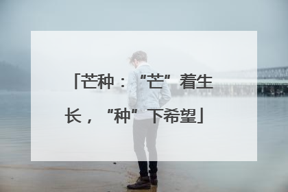 芒种：“芒”着生长，“种”下希望