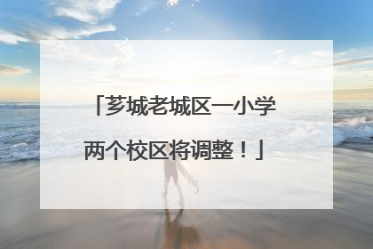 芗城老城区一小学两个校区将调整！