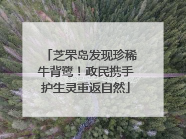 芝罘岛发现珍稀牛背鹭！政民携手护生灵重返自然