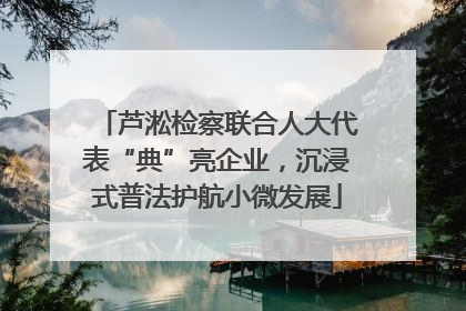 芦淞检察联合人大代表“典”亮企业，沉浸式普法护航小微发展