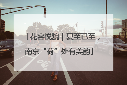 花容悦貌｜夏至已至，南京“荷”处有美韵