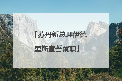 苏丹新总理伊德里斯宣誓就职