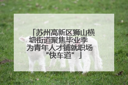苏州高新区狮山横塘街道聚焦毕业季 为青年人才铺就职场“快车道”
