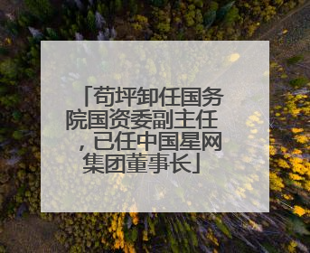 苟坪卸任国务院国资委副主任，已任中国星网集团董事长