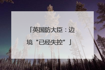 英国防大臣：边境“已经失控”