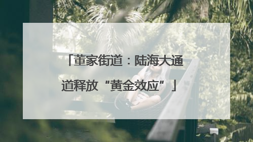 董家街道：陆海大通道释放“黄金效应”