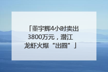董宇辉4小时卖出3800万元，潜江龙虾火爆“出圈”
