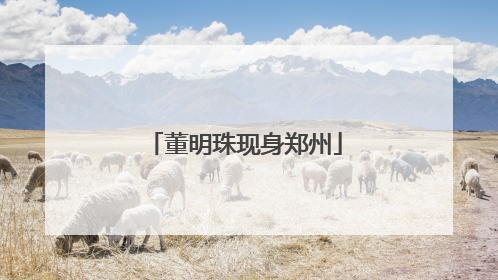 董明珠现身郑州