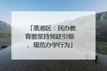蒸湘区：民办教育要坚持党建引领、规范办学行为