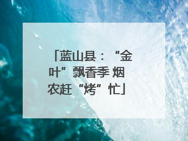蓝山县：“金叶”飘香季 烟农赶“烤”忙