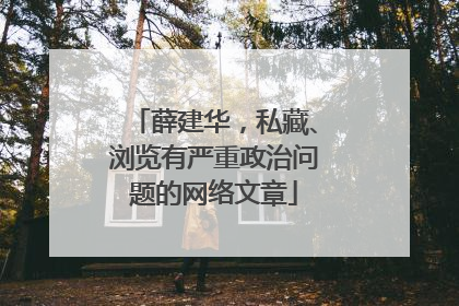 薛建华，私藏、浏览有严重政治问题的网络文章
