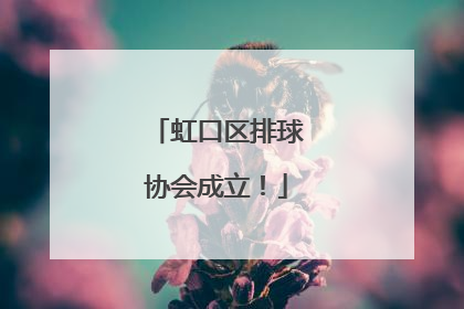 虹口区排球协会成立！