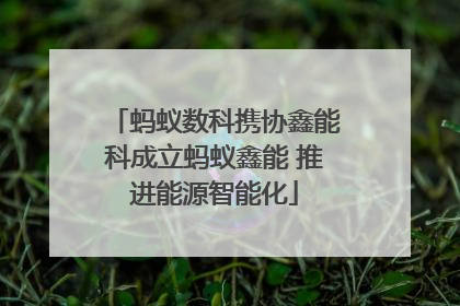 蚂蚁数科携协鑫能科成立蚂蚁鑫能 推进能源智能化
