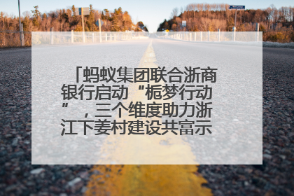 蚂蚁集团联合浙商银行启动“栀梦行动”，三个维度助力浙江下姜村建设共富示范区示范点