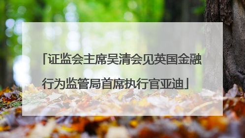 证监会主席吴清会见英国金融行为监管局首席执行官亚迪