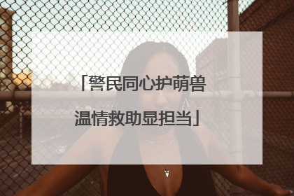 警民同心护萌兽 温情救助显担当