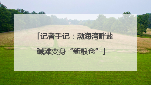 记者手记：渤海湾畔盐碱滩变身“新粮仓”