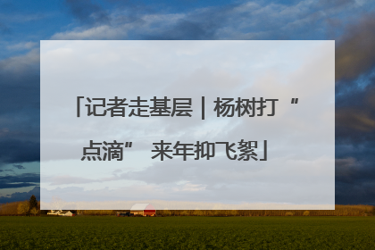 记者走基层｜杨树打“点滴” 来年抑飞絮