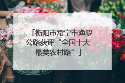 衡阳市常宁市渔罗公路获评“全国十大最美农村路”