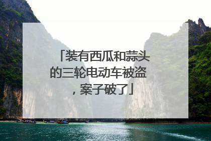 装有西瓜和蒜头的三轮电动车被盗，案子破了