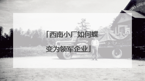 西南小厂如何蝶变为领军企业