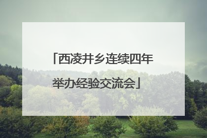 西凌井乡连续四年举办经验交流会
